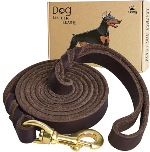 Leather Dog Leash 5ft x 3 (5 ft x 3/4 inch / Brown)