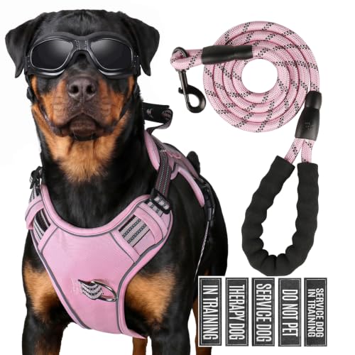 Dog Harness and Leash Set for Small Dogs (Pink / S)