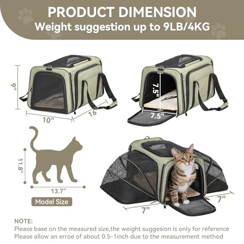 Small Double Expandable Cat Carrier for Kittens and Air Travel (16.0"L x 10.0"W x 9.0"H / Green)