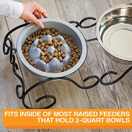 The Niner Slow Feed Bowl (Silver / 2 Cup)