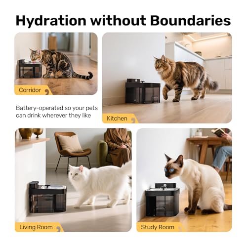 Cat Water Fountain (Black)