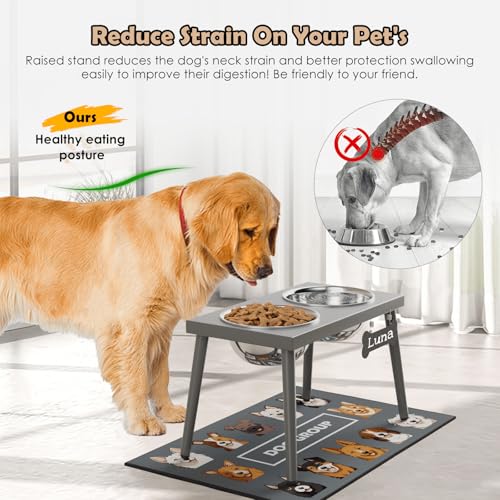 Raised Dog Bowl Stand for Large Dogs (Height-10inch / Gray-L)