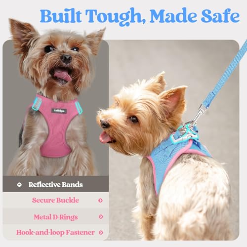 Dog Harness Medium Sized and Leash Set (Blue & Light Pink / L (chest: 18.2 - 20.5"))