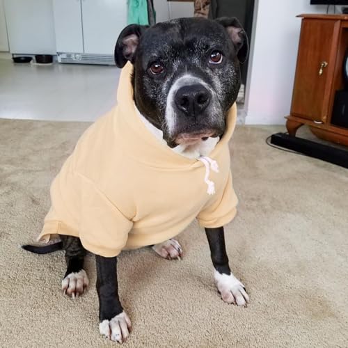 Dog Hoodie for Small Medium Dogs (#2 Beige(Plain) / Small/Medium (All Breed Sizes))