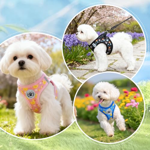 Dog Harness Medium Sized and Leash Set (Medium(Chest Girth 16" - 18") / Black Planet)