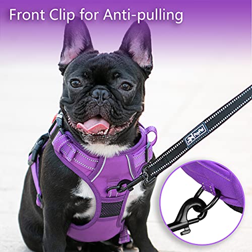 No Pull Dog Harness (XS / Purple(Matching Trim))