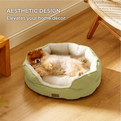 Small Dog Bed Washable (25"L x 21"W x 8"Th / Pale Bean Green)