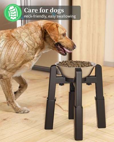 Elevated Dog Bowl (H: 6.3-10.6''; W: 6.1-10.4'')