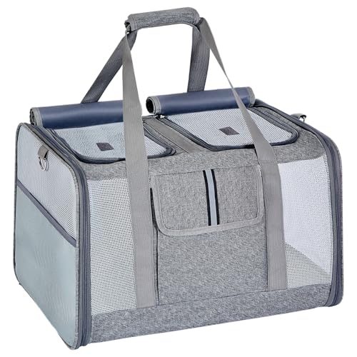 Cat Carrier for 2 Cats