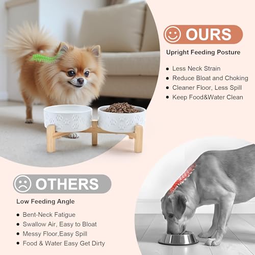 Elevated Dog Bowls Ceramic (5.1 in - 1.7 cups / Paw White)