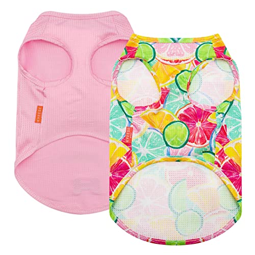 2Pack Dog Shirts for Small Dogs Breathable Mesh Tank Top (Small (4-7lbs) / 4# 2Pack (Lemon+Pink))