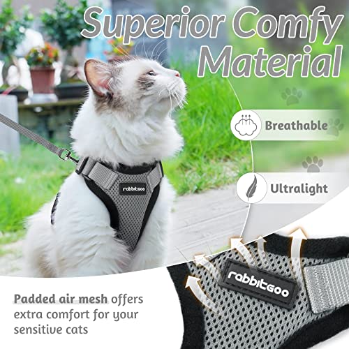 Cat Harness and Leash Set (Xxs / Grey)