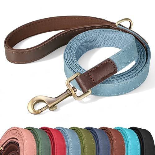 PU Leather Dog Leash for Small Dogs (Denim Blue / 5/8"x 5FT)