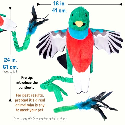 Pupr Pals Cat Wrestling Glove (Large / Quetzal + Catnip)