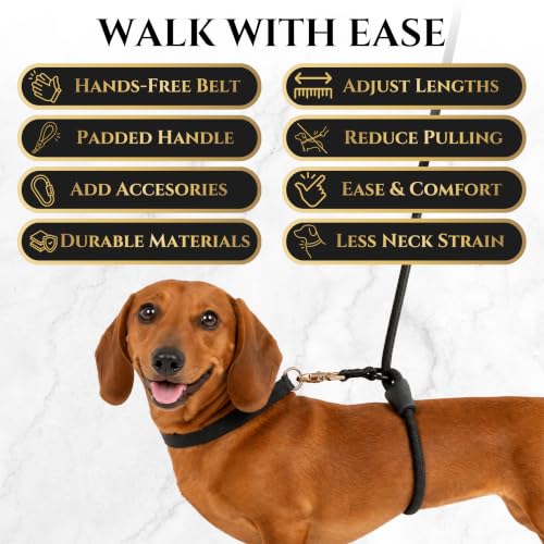 No Pull Hand Free Dog Leash with Wrap (Black / Small (25 lbs and Under))