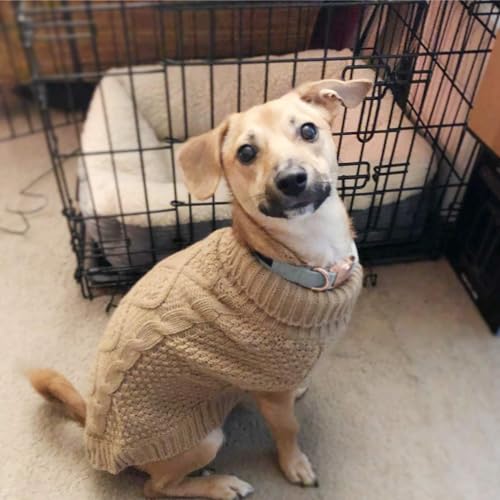 Turtleneck Dog Sweater (Large / Khaki)