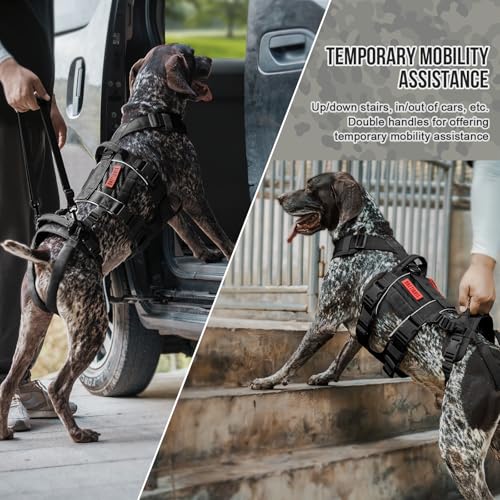 Breathable Dog Lift Harness for Large Medium Sized Dogs (Large / Black)