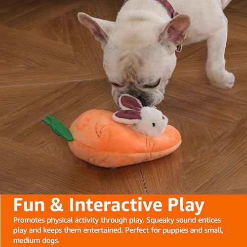 Interactive Hide and Seek Squeaky Dog Plush Toy with Squeaker for Small Dogs