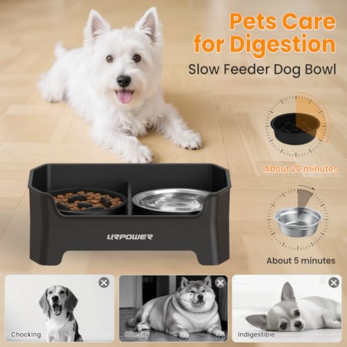 Elevated Dog Bowls for Small Dogs (Black / Small)