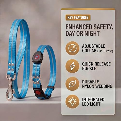 LED Dog Collar & 4 Foot Leash (Blue)