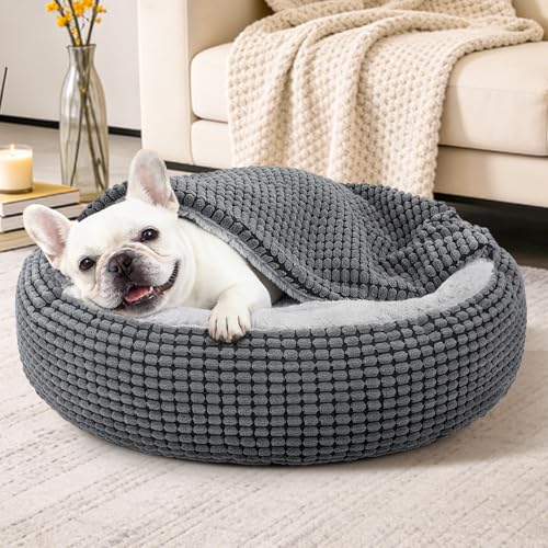 Dog Bed with Attached Blanket for Small Dogs or Cats (Grey / M(26''x26''x8''))