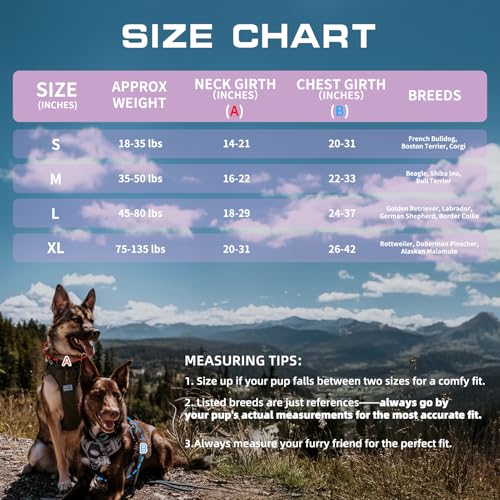 Dog Harness for Small Medium Dogs (Very Peri / S(Neck:14-21",Chest:20-31"),18-35 lbs)