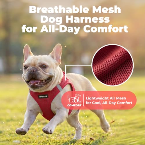 Voyager Step in Air Dog Vest Harness (Burgundy / M (Chest: 16 - 18"))