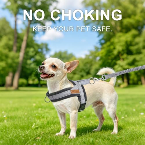 Dog Harness Medium Sized and Leash Set (Grey / M: Chest 21"-26.7")