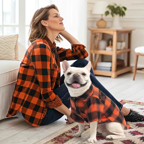 Fall Dog Shirt (Medium / Orange)
