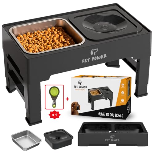 Elevated Dog Bowls (No-Spill Water Bowl & Stainless Steel Bowl Black)