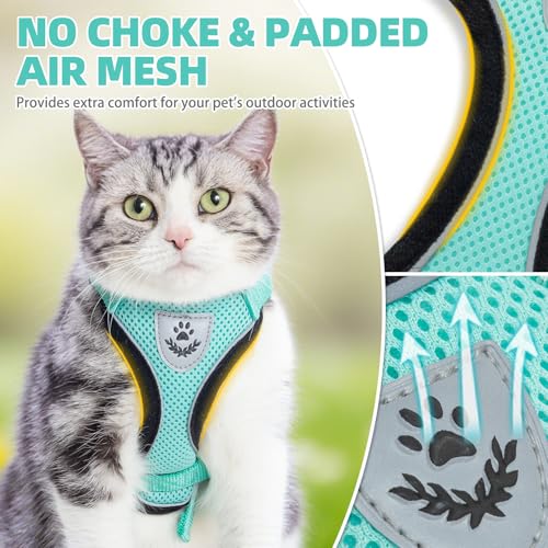Cat Harness and Leash Set Escape Proof Reflective Cat Walking Harness Adjustable Soft Breathable Mesh Vest for Small Pets (M (NECK 11"-13.7", CHEST 16"-20") / Aquamarine)