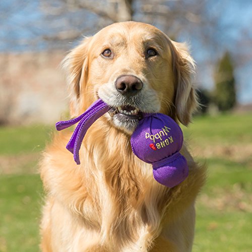 Wubba Dog Toy for Tug of War & Fetch (Small (Pack of 1))