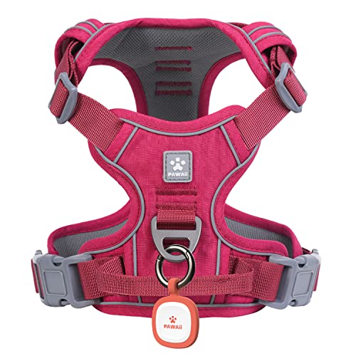 Small Dog Harness (XS (Chest: 12"-17" ) / Wine Red)