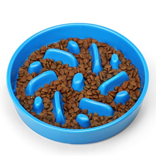Ceramic Slow Feeder Dog Bowl (Maze - Blue / 2 Cups)