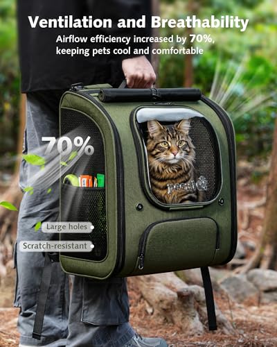 Cat Backpack Carrier (Green / 14.9"L x 11.0"W x 19.6"H)