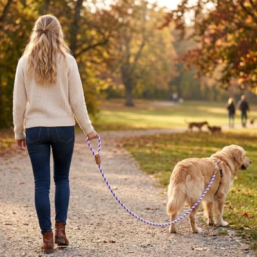 Rainbow Dog Leash Braided Cotton Rope w Leather (Purple Gradient / 60 Inch-1/2")