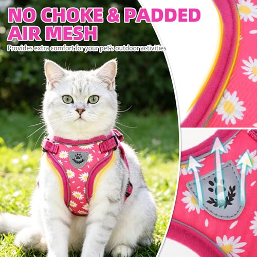 Cat Harness and Leash Set Escape Proof Reflective Cat Walking Harness Adjustable Soft Breathable Mesh Vest for Small Pets (S (NECK 9.5"-11", CHEST 13"-16") / Fuchsia Daisy)
