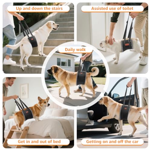 Dog Sling for Extra Large Dogs Hind Leg Support Weak Rear Leg Aid (Grey&Black / X-Large)