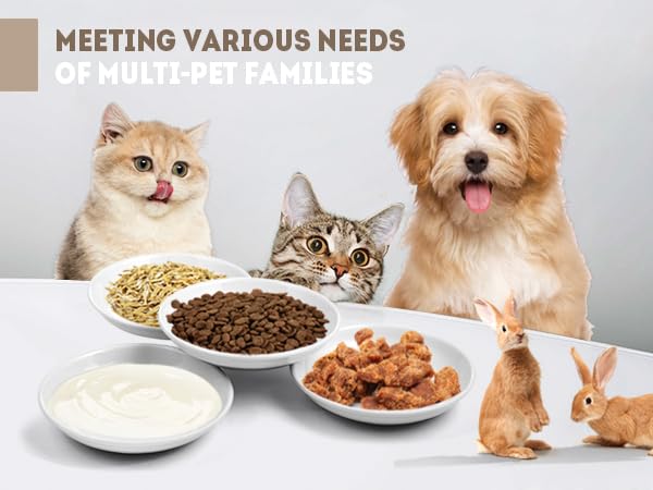 Cat Food Bowl (8pcs-White)