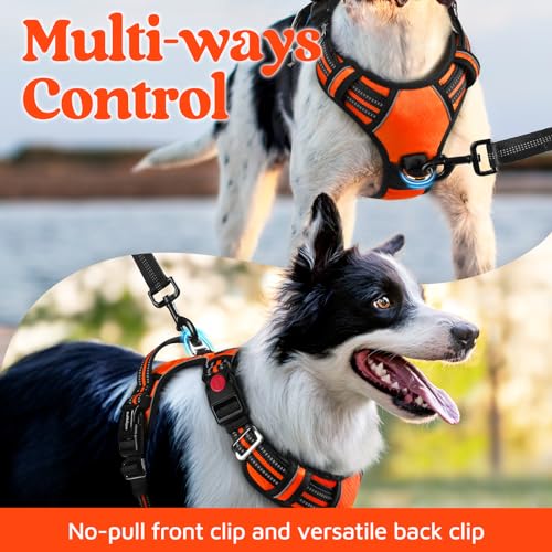 Dog Harness Small Sized (Orange / Small)