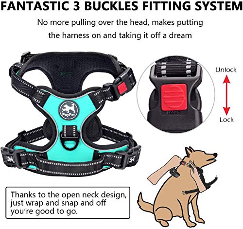 No Pull Dog Harness Small with Front Clip & Neck Release Buckle (XS / Mint Blue)