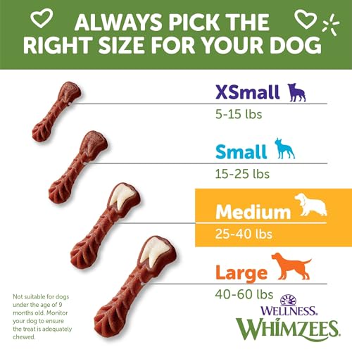 Wellness WHIMZEES Daily Brushzees Dog Dental Treats (7 Count (Pack of 1))