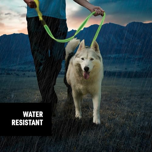 NiteDog Rechargeable LED Leash