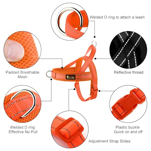 No Pull Dog Harness for Large Dogs (L: chest 25.2"-32.3" / Orange)