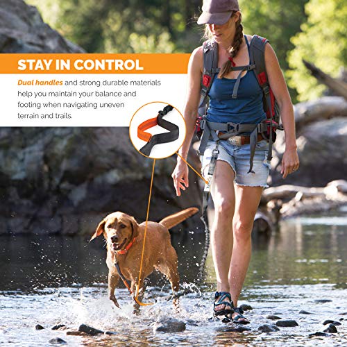 Waist Hands Free Dog Leash for Walking Running Hiking (gray/teal)