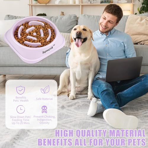 Slow Feeder Dog Bowls for Medium Dogs & Cats (Medium / Purple)
