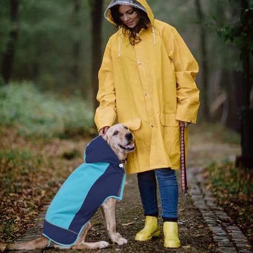 Hooded Dog Raincoat (2X-Large / Blue)