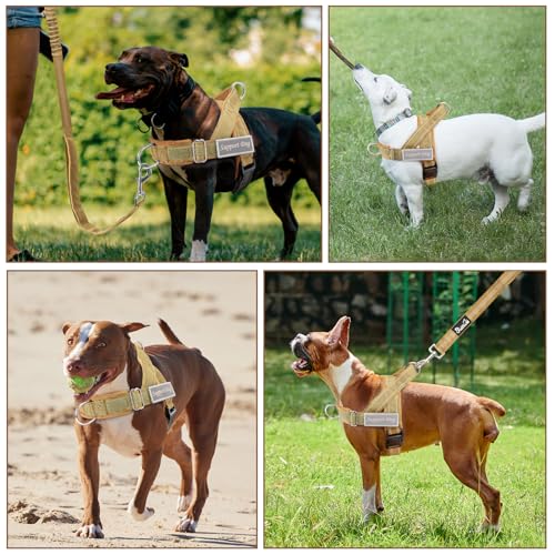 No Pull Dog Harness and Leash Set (Tan / Medium)
