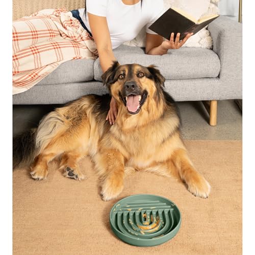 Slow Feeder Dog Bowl (Spruce - Rainbow Design / Large (9.5” Across and 1.5” Tall))