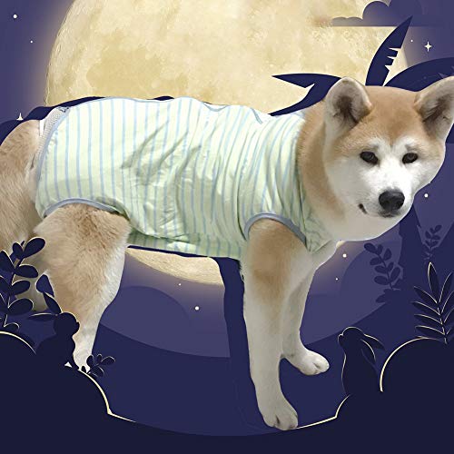 Dog’s Recovery Suit Post Surgery Shirt for Female Male Dog (xl / green stripe)